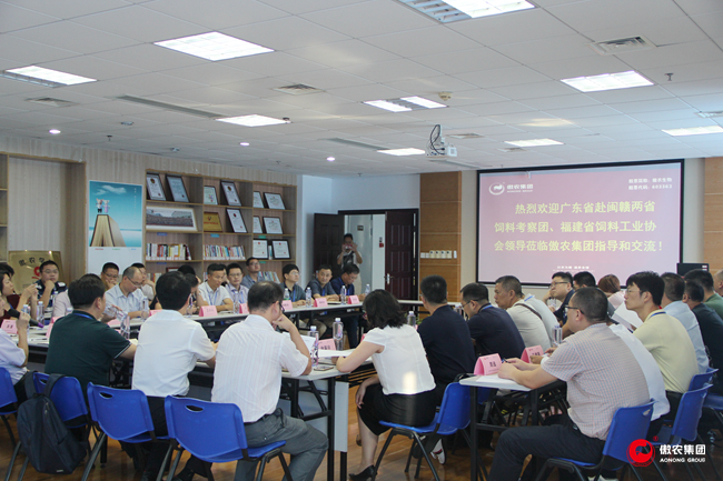 熟妇丰满多毛的大隂户