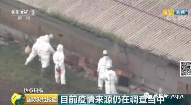 熟妇丰满多毛的大隂户