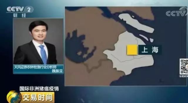 熟妇丰满多毛的大隂户