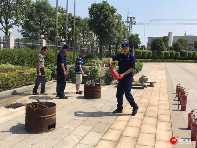 熟妇丰满多毛的大隂户