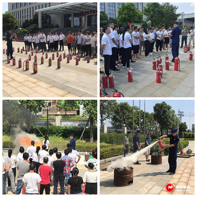 熟妇丰满多毛的大隂户