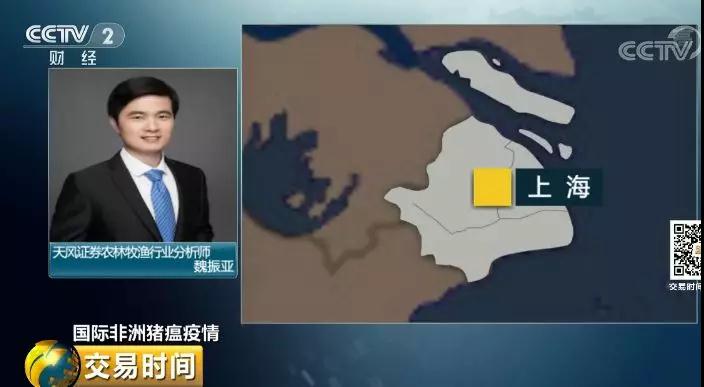 熟妇丰满多毛的大隂户