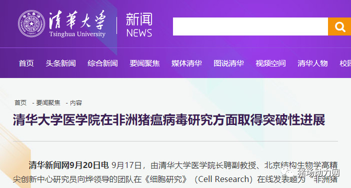 熟妇丰满多毛的大隂户