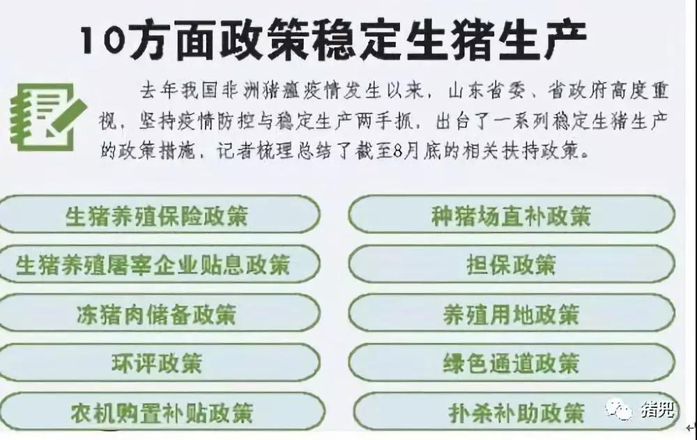 熟妇丰满多毛的大隂户