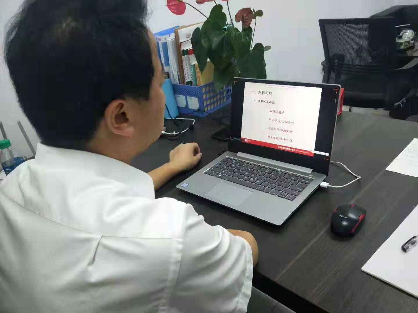 熟妇丰满多毛的大隂户