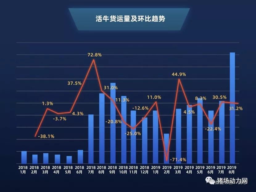 熟妇丰满多毛的大隂户