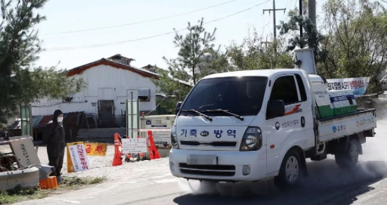 熟妇丰满多毛的大隂户