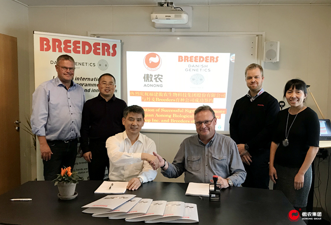 熟妇丰满多毛的大隂户