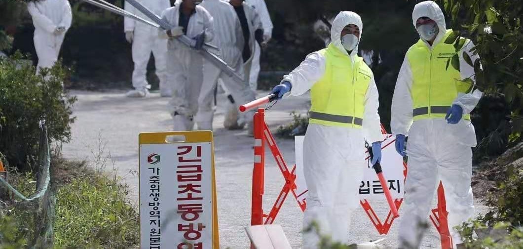 熟妇丰满多毛的大隂户