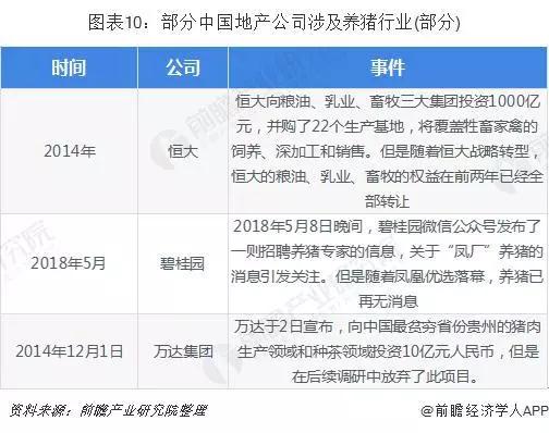 熟妇丰满多毛的大隂户