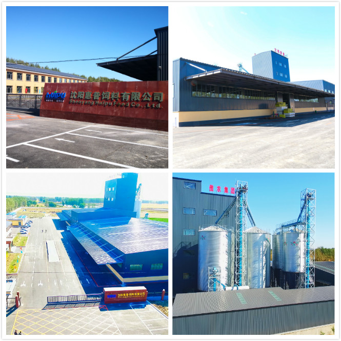 熟妇丰满多毛的大隂户