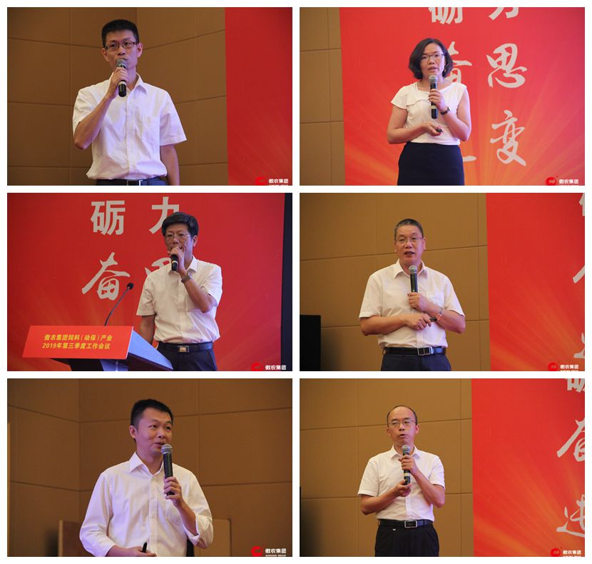 熟妇丰满多毛的大隂户