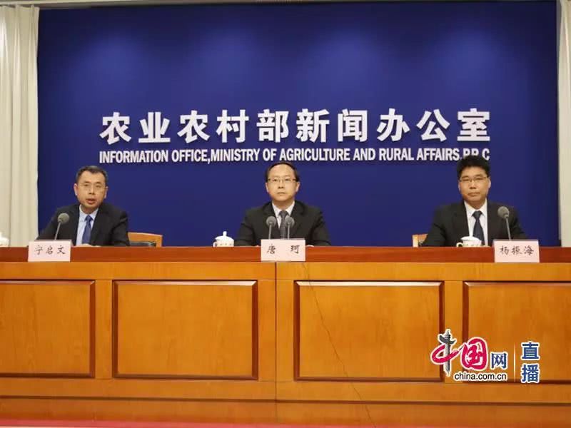 熟妇丰满多毛的大隂户