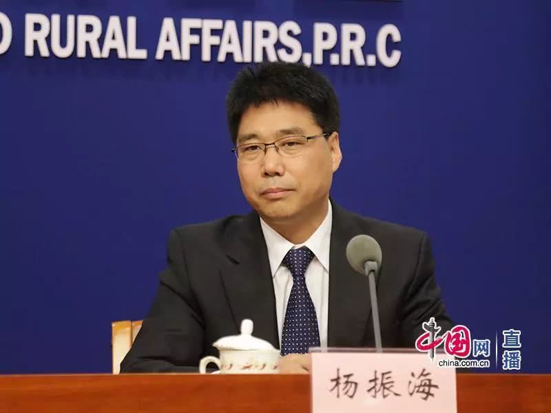 熟妇丰满多毛的大隂户