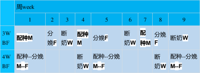 熟妇丰满多毛的大隂户
