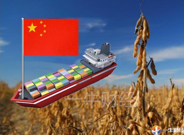 熟妇丰满多毛的大隂户