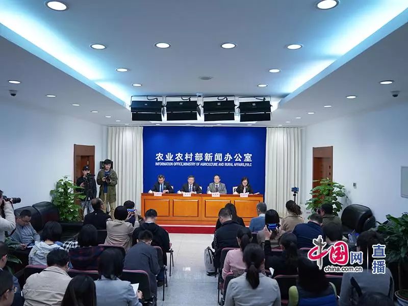 熟妇丰满多毛的大隂户