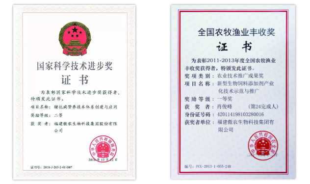 熟妇丰满多毛的大隂户