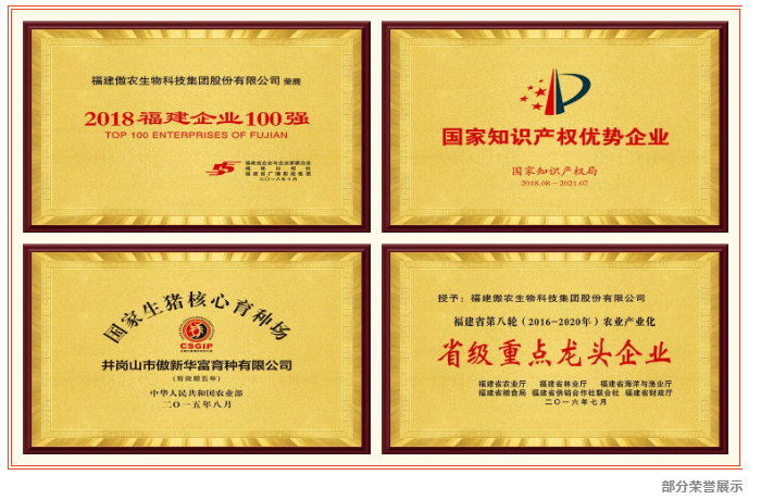 熟妇丰满多毛的大隂户