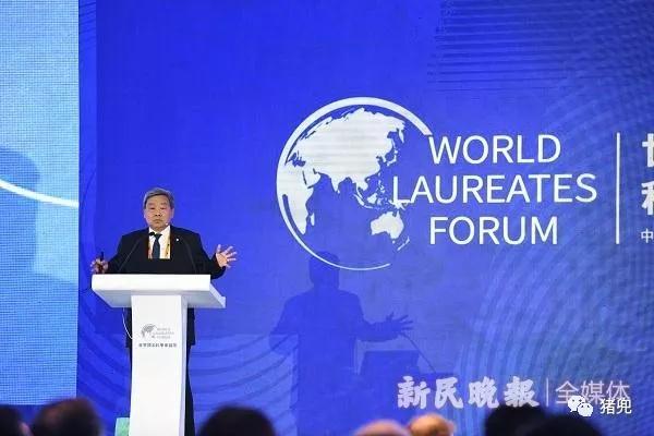 熟妇丰满多毛的大隂户