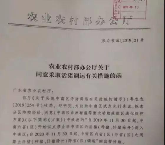 熟妇丰满多毛的大隂户