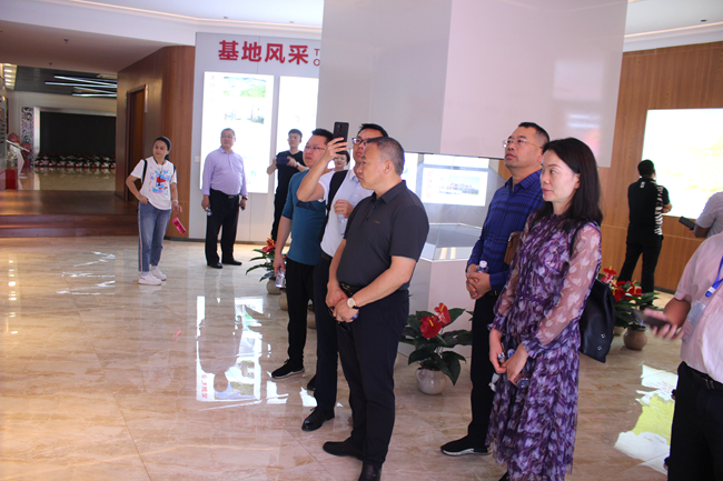 熟妇丰满多毛的大隂户