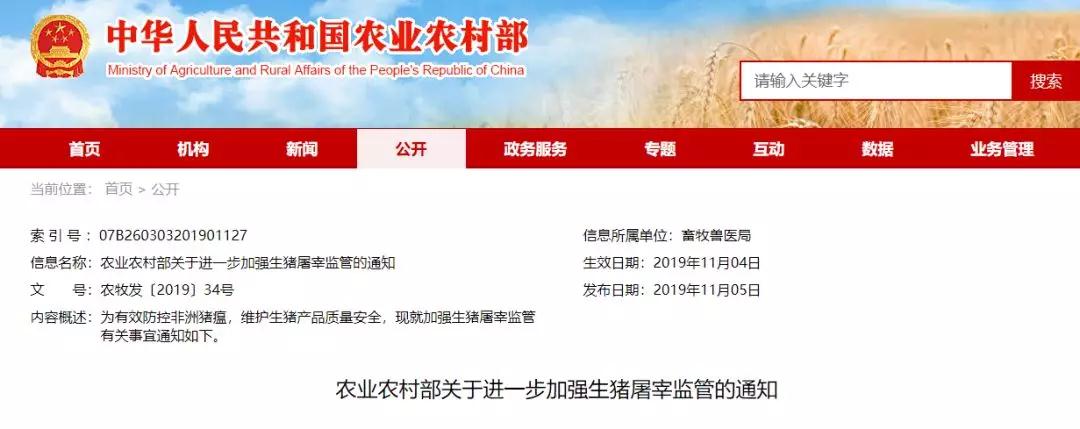 熟妇丰满多毛的大隂户