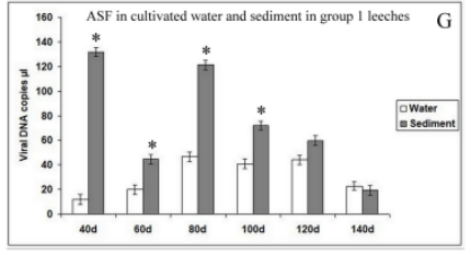 熟妇丰满多毛的大隂户