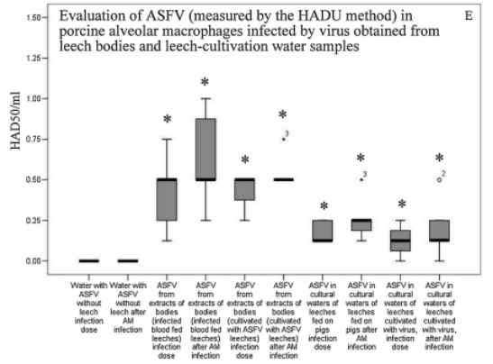 熟妇丰满多毛的大隂户