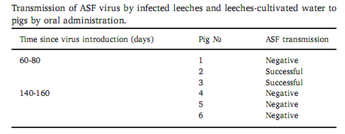 熟妇丰满多毛的大隂户