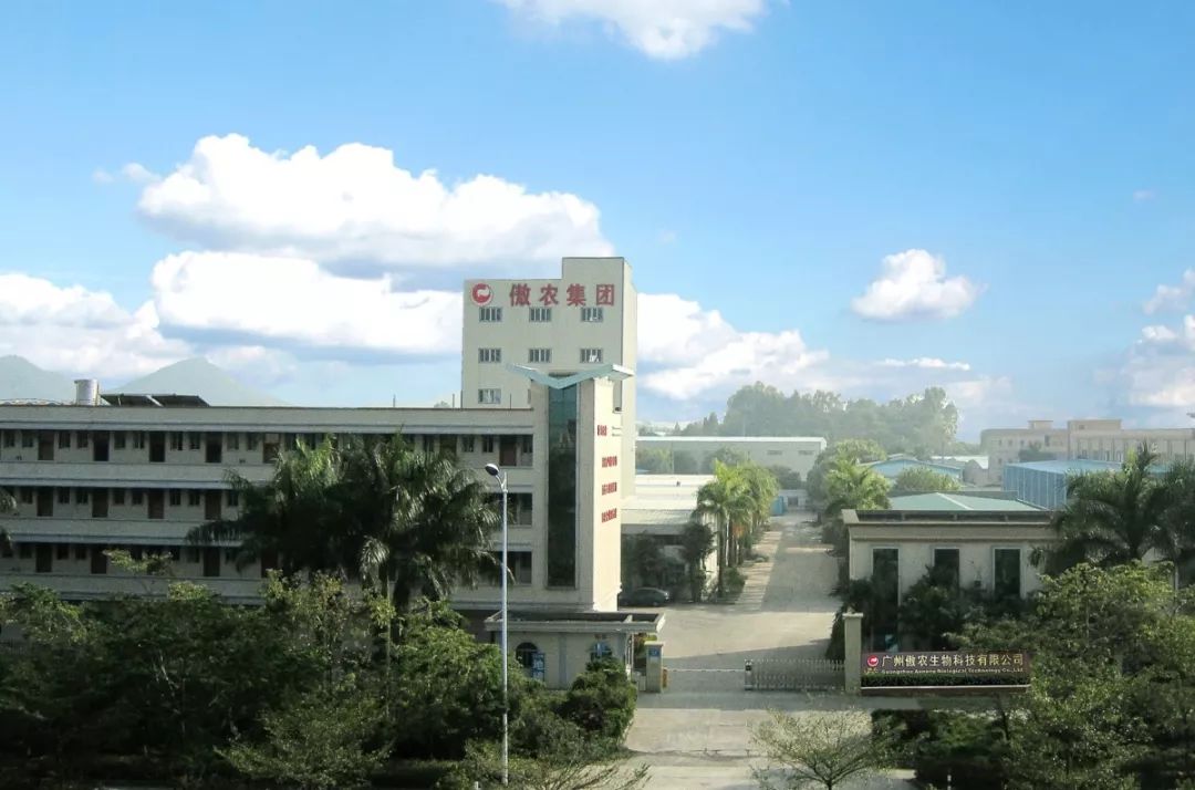 熟妇丰满多毛的大隂户