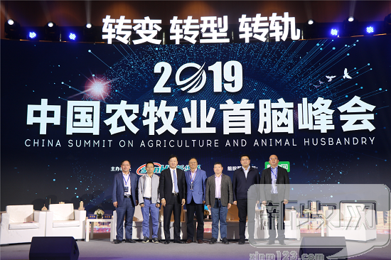 熟妇丰满多毛的大隂户