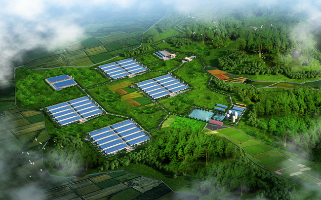 熟妇丰满多毛的大隂户