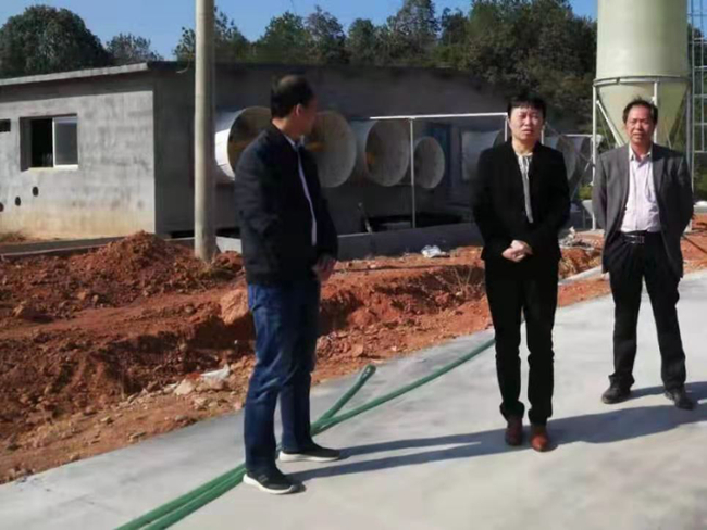 熟妇丰满多毛的大隂户