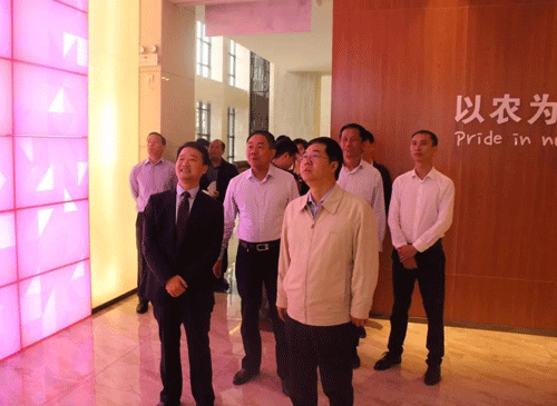 熟妇丰满多毛的大隂户