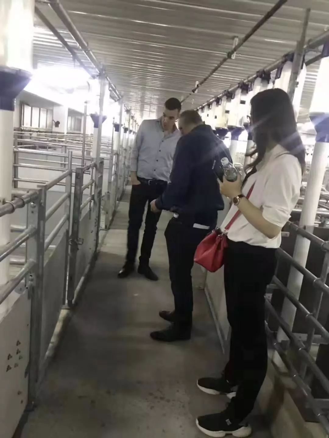 熟妇丰满多毛的大隂户