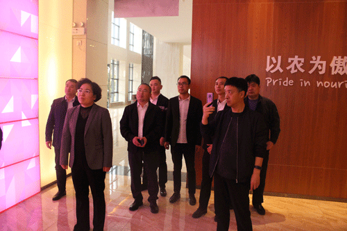 熟妇丰满多毛的大隂户