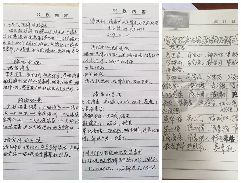 熟妇丰满多毛的大隂户