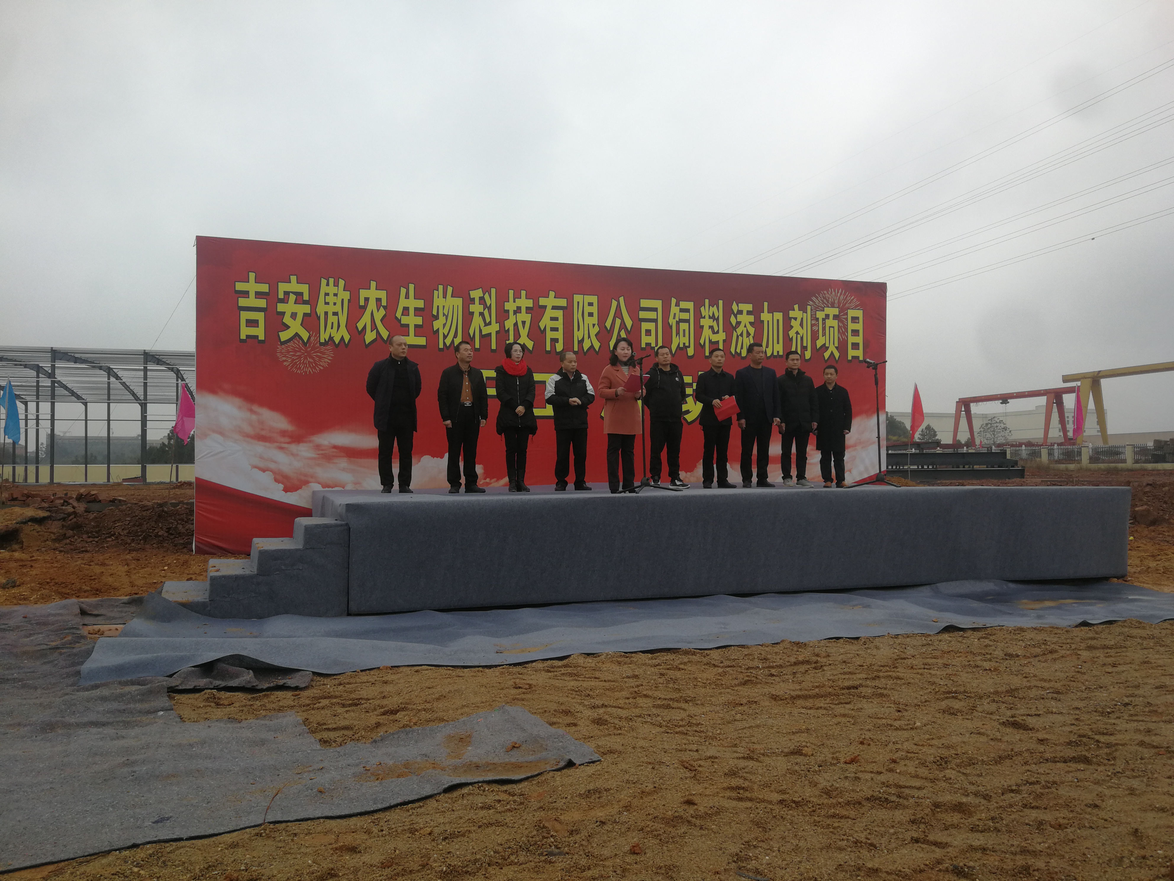 熟妇丰满多毛的大隂户