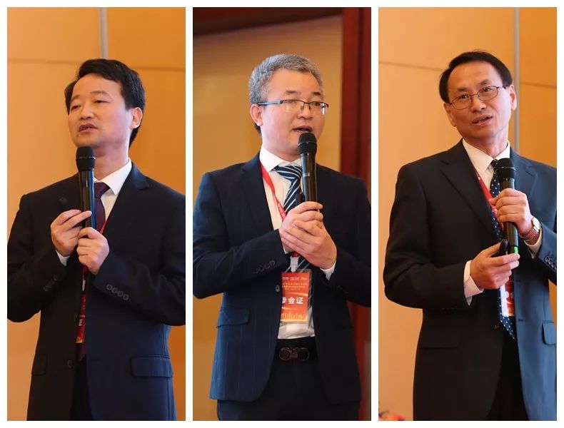 熟妇丰满多毛的大隂户