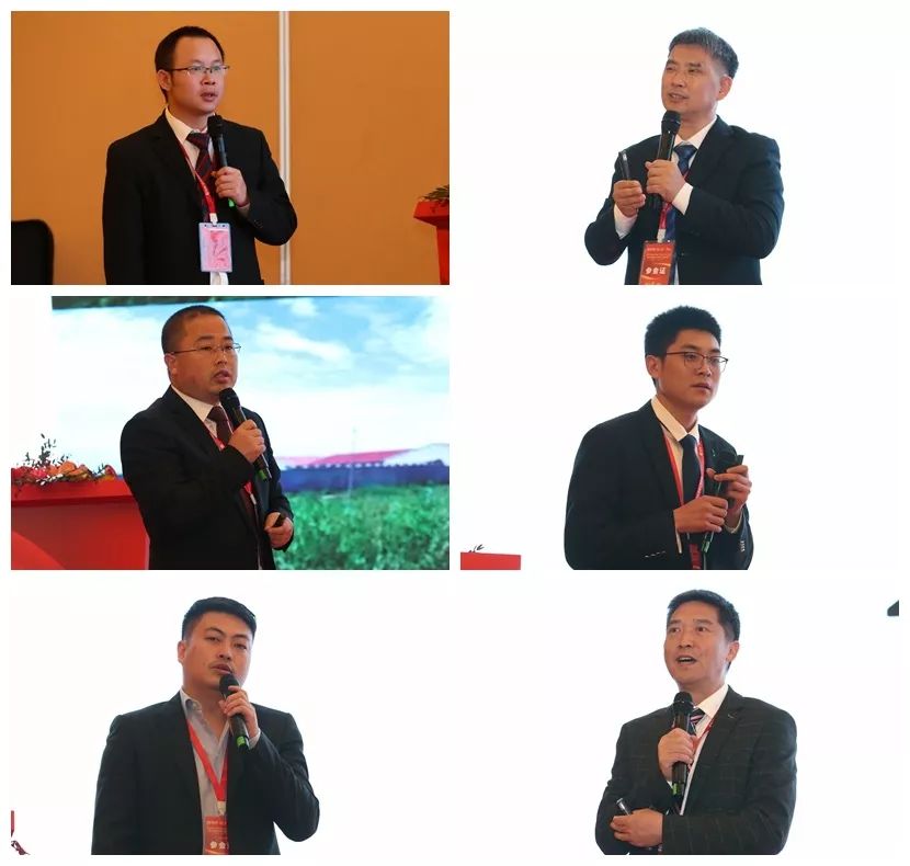 熟妇丰满多毛的大隂户