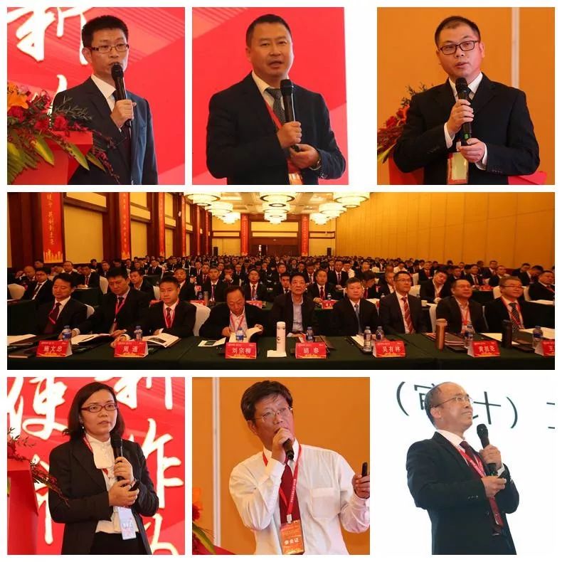 熟妇丰满多毛的大隂户