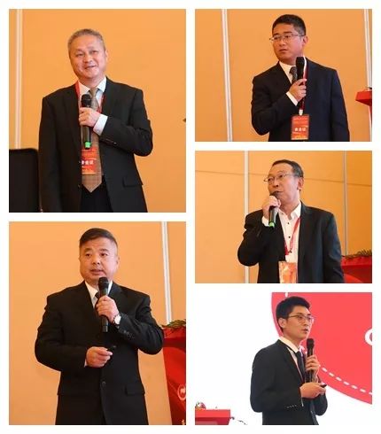 熟妇丰满多毛的大隂户