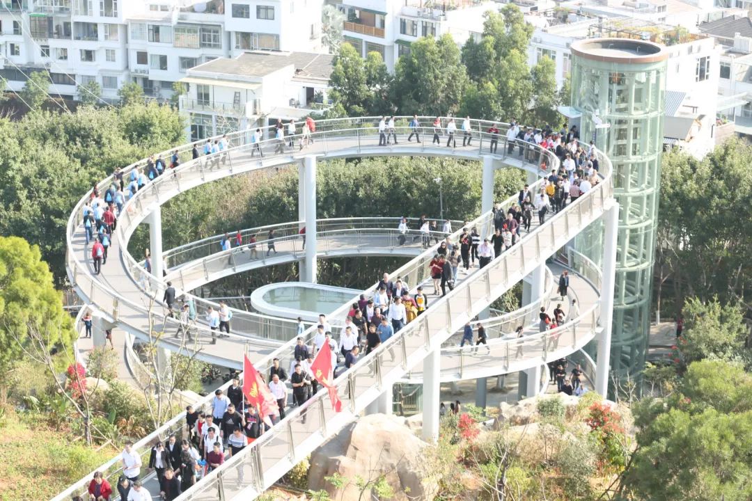 熟妇丰满多毛的大隂户