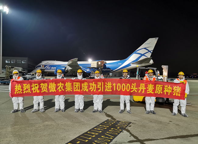 熟妇丰满多毛的大隂户