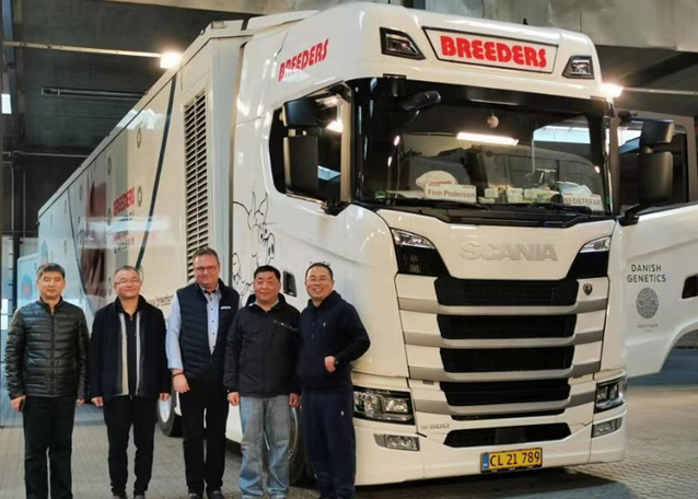 熟妇丰满多毛的大隂户