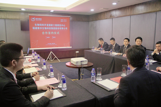 熟妇丰满多毛的大隂户