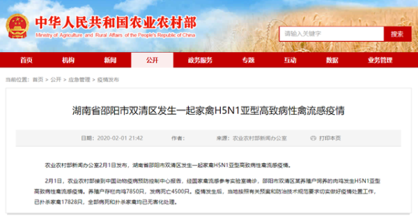 熟妇丰满多毛的大隂户