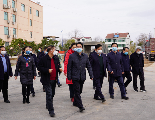 熟妇丰满多毛的大隂户