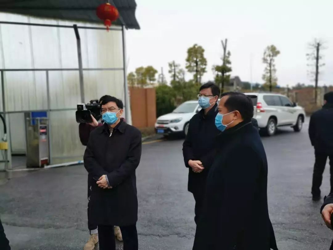 熟妇丰满多毛的大隂户